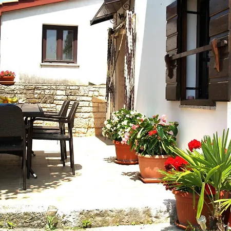House Matohanci *