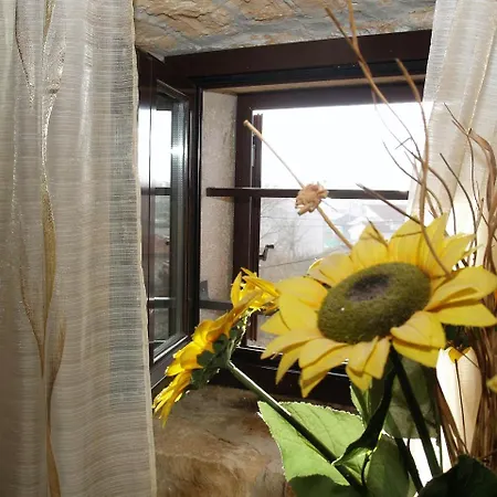 Villa House Matohanci Kanfanar