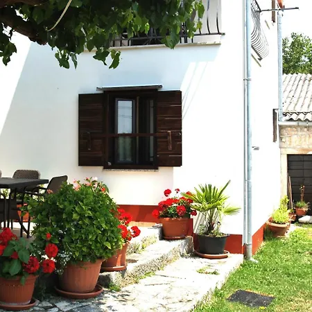House Matohanci *