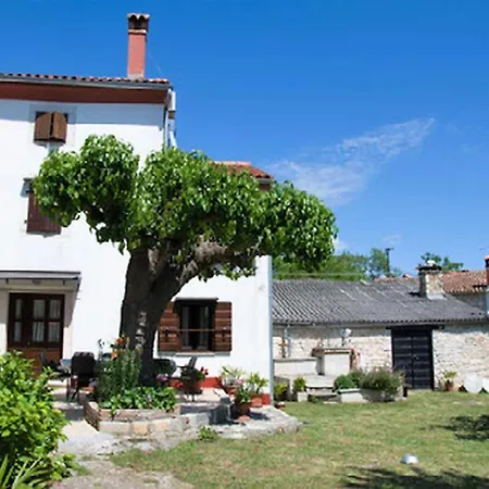 House Matohanci Vila *
